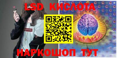 стафф Берёзовский