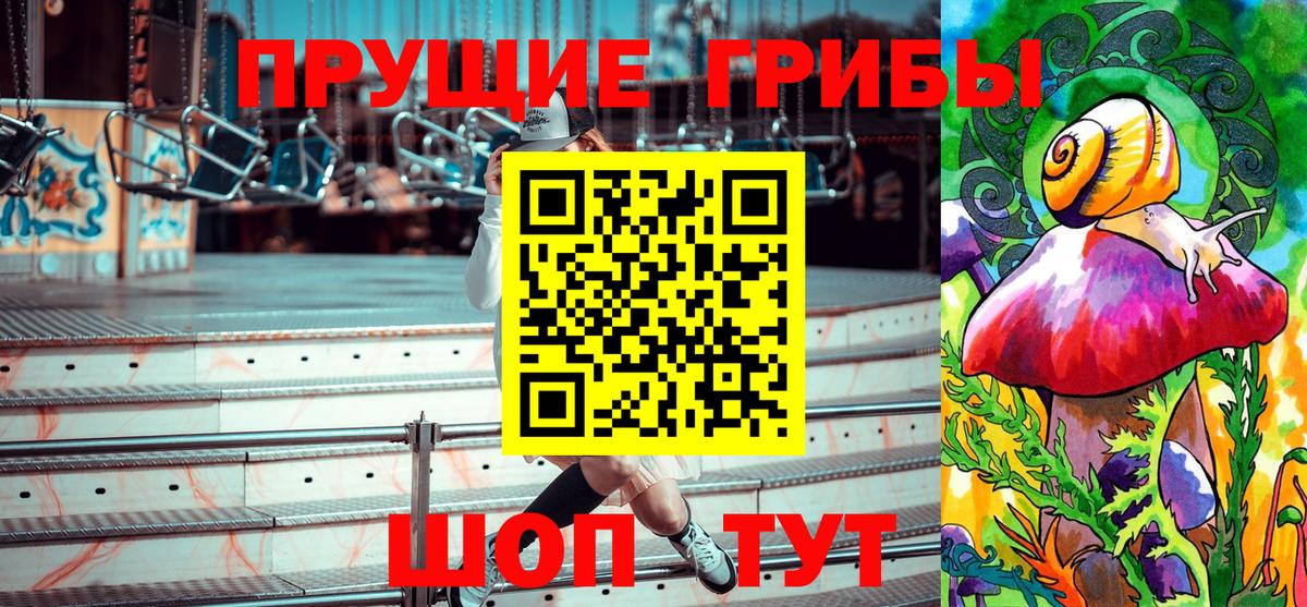 Кимры  Псилоцибиновые грибы Psilocybine cubensis  Вход с VPN 